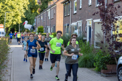 Midzomerrun-kleinformaat_214