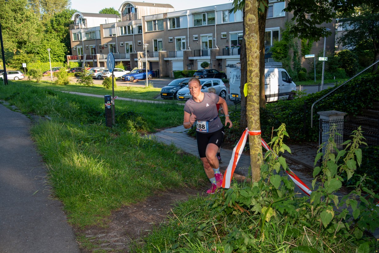 Midzomerrun kleinformaat_137