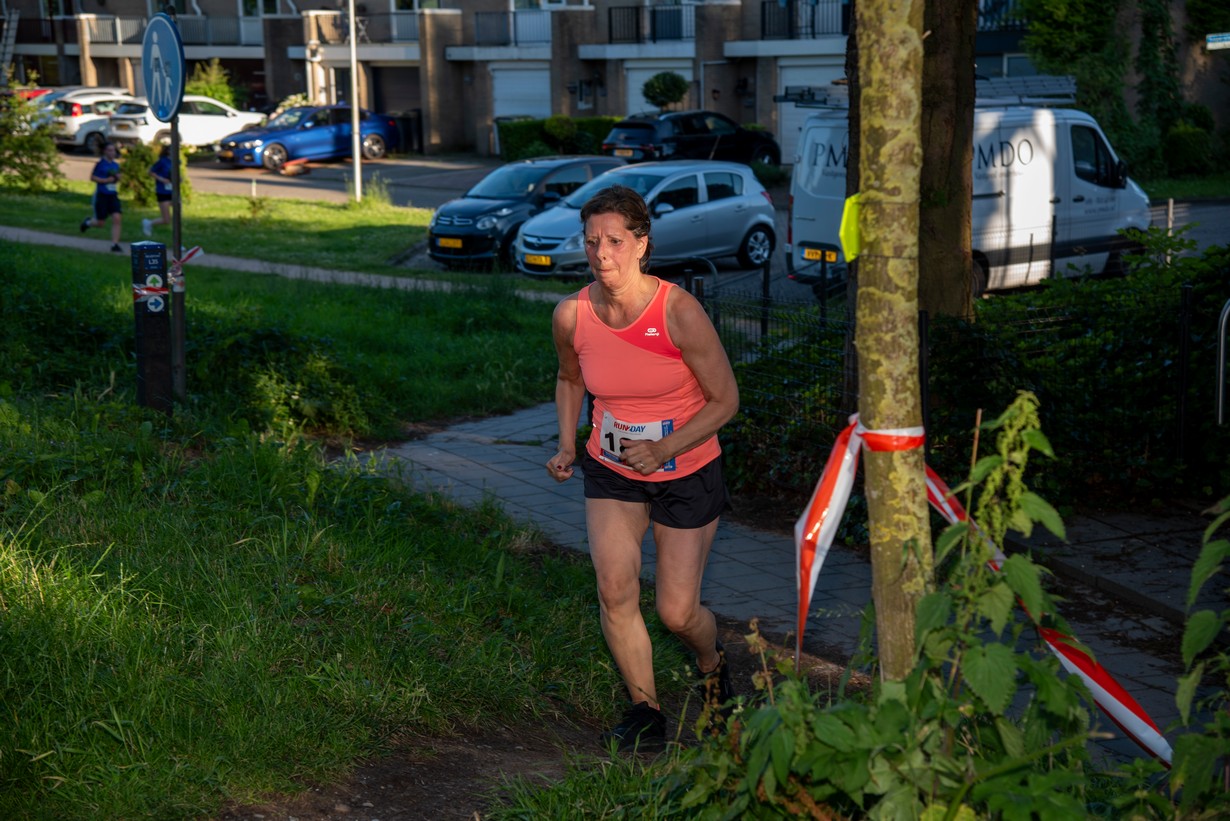 Midzomerrun kleinformaat_139