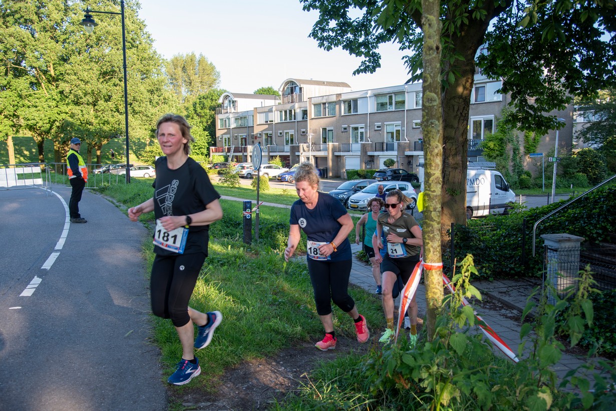 Midzomerrun kleinformaat_141