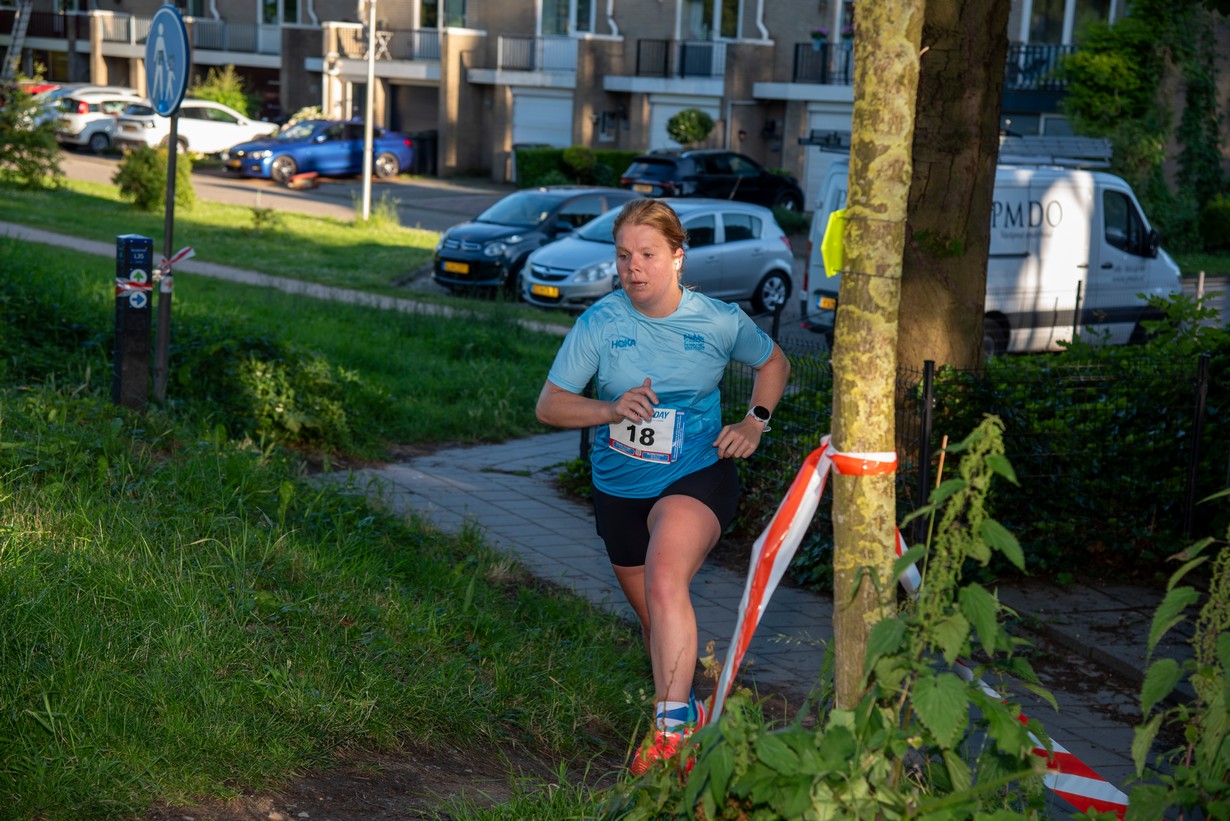 Midzomerrun kleinformaat_149