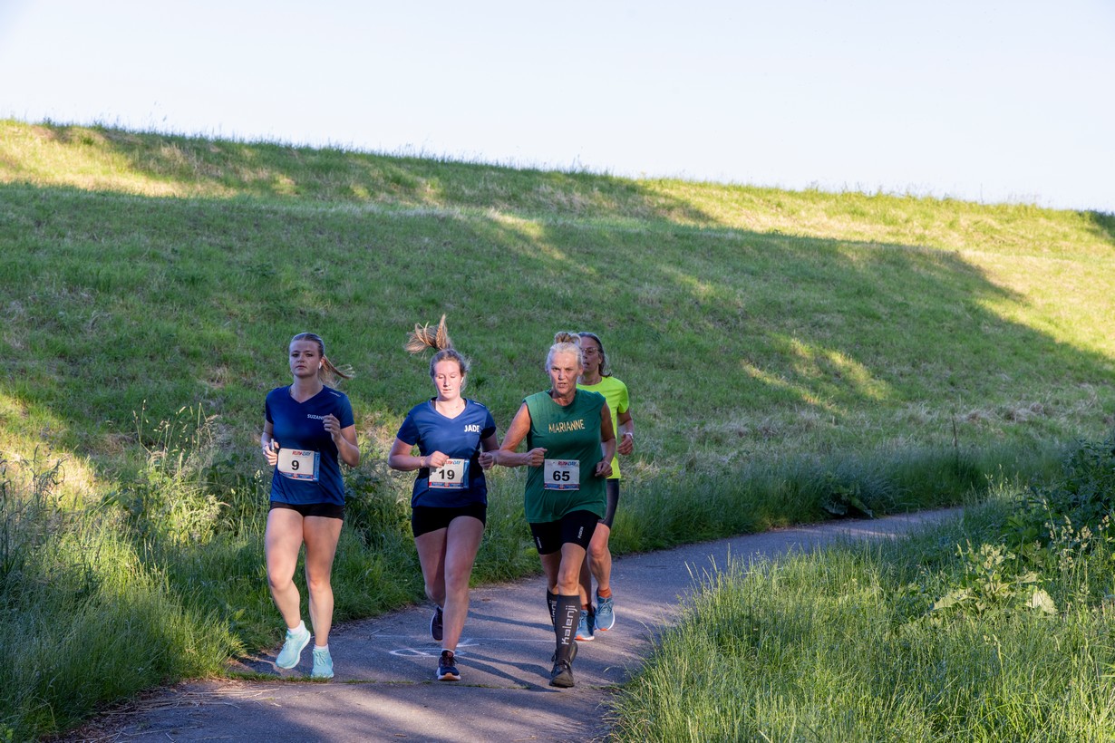 Midzomerrun kleinformaat_219