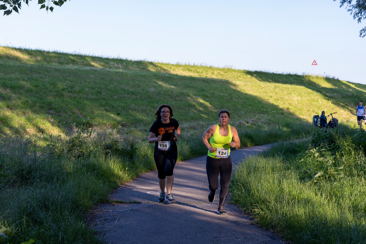 Midzomerrun kleinformaat_222
