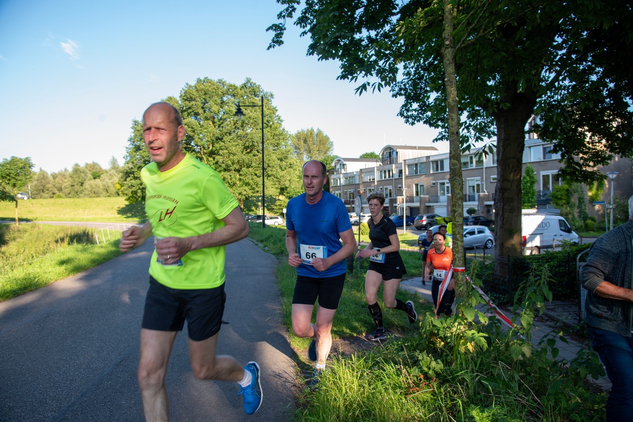 Midzomerrun kleinformaat_70