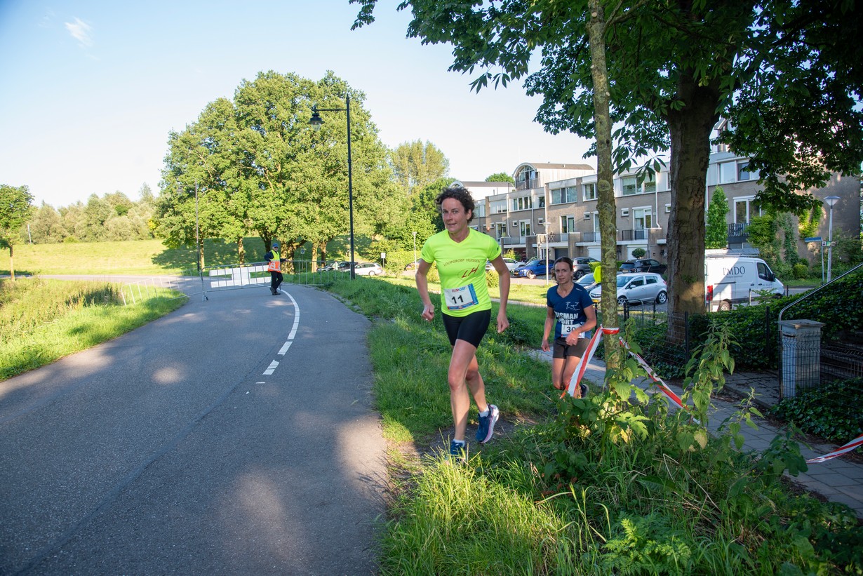 Midzomerrun kleinformaat_71