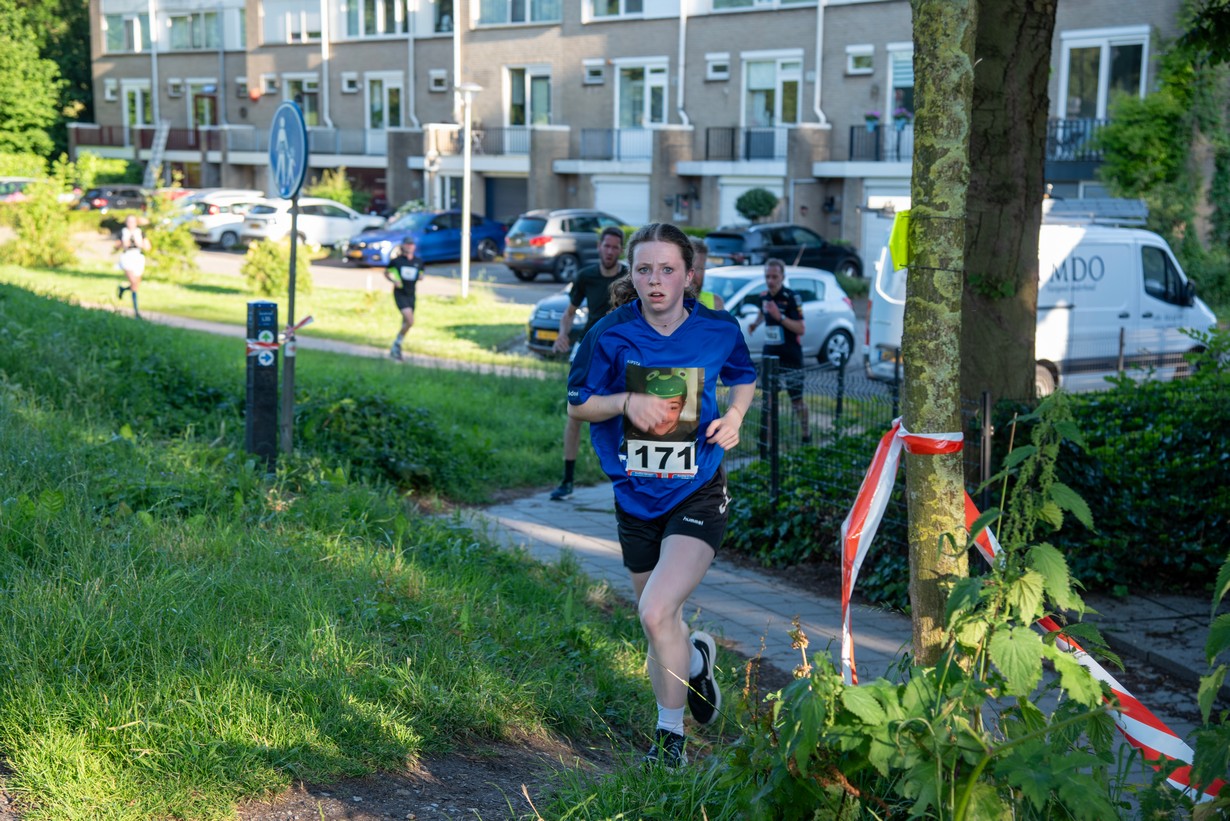 Midzomerrun kleinformaat_80
