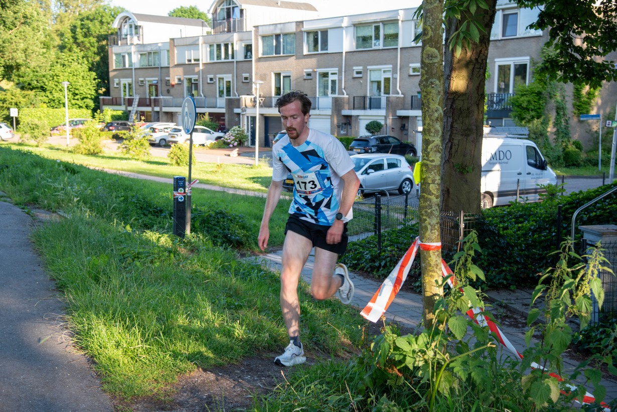 Midzomerrun kleinformaat_93