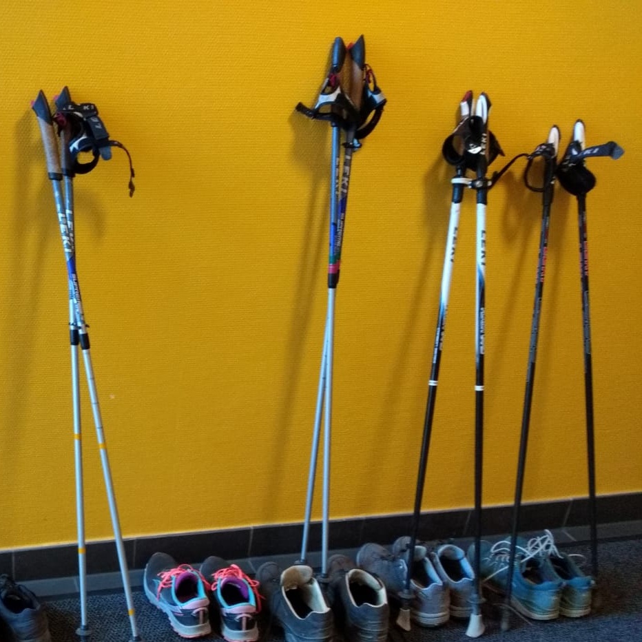 https://loopgroephuissen.nl/wp-content/uploads/2026/03/Nordic-Walking.jpg
